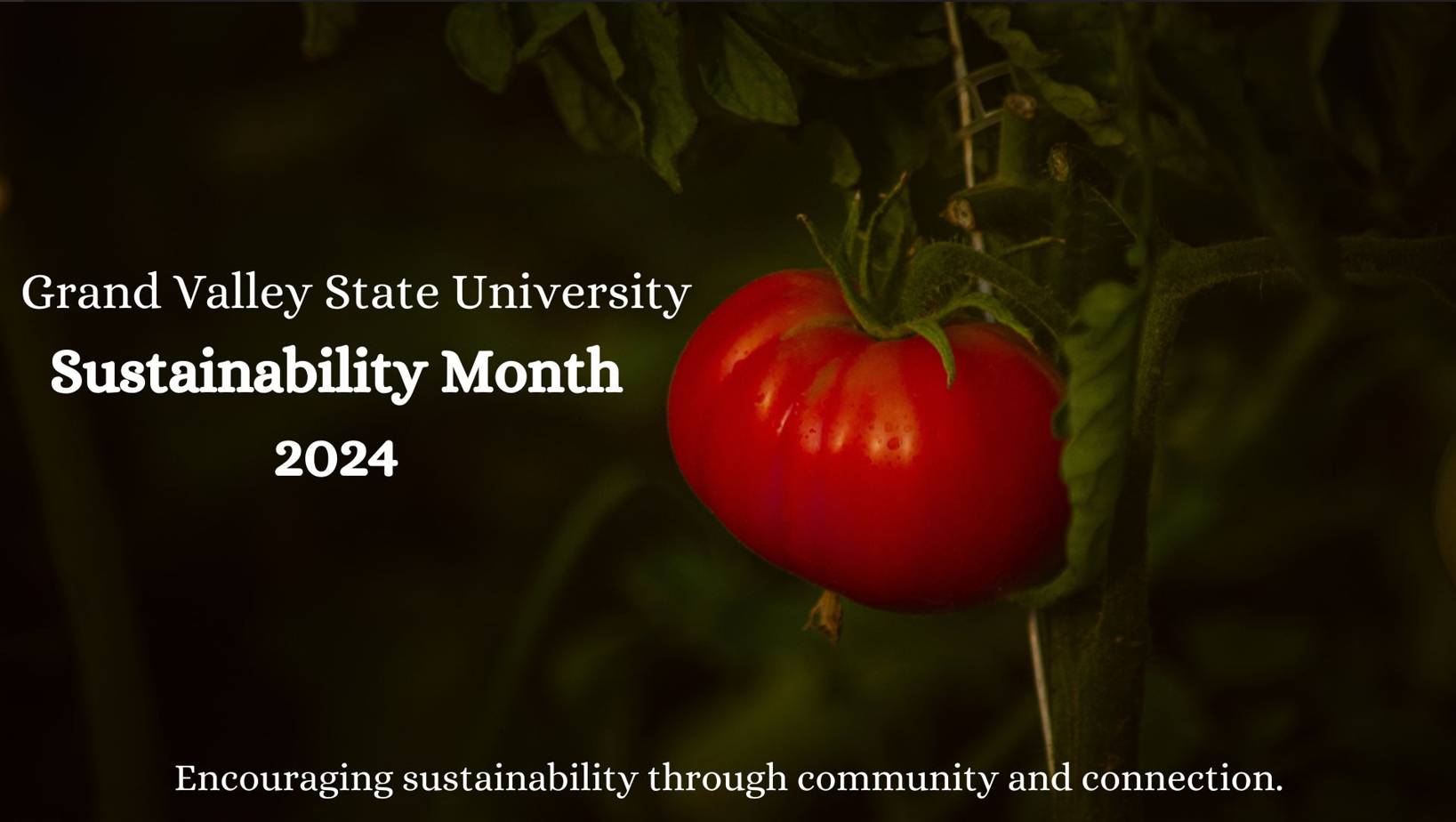 Sustainability Month 2024 Banner